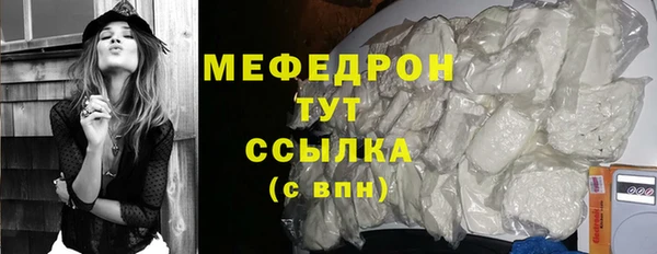 индика Ладушкин