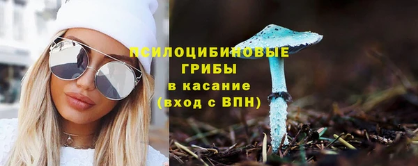 стаф Лабытнанги