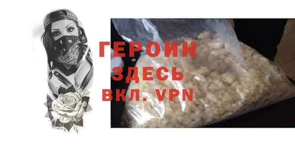 индика Ладушкин