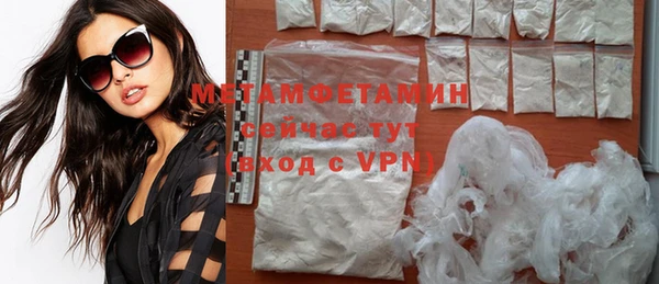 индика Ладушкин