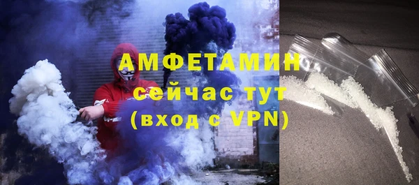 индика Ладушкин