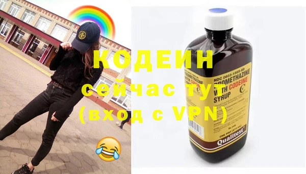 индика Ладушкин
